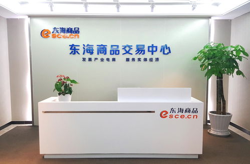 浙江东海商品交易中心